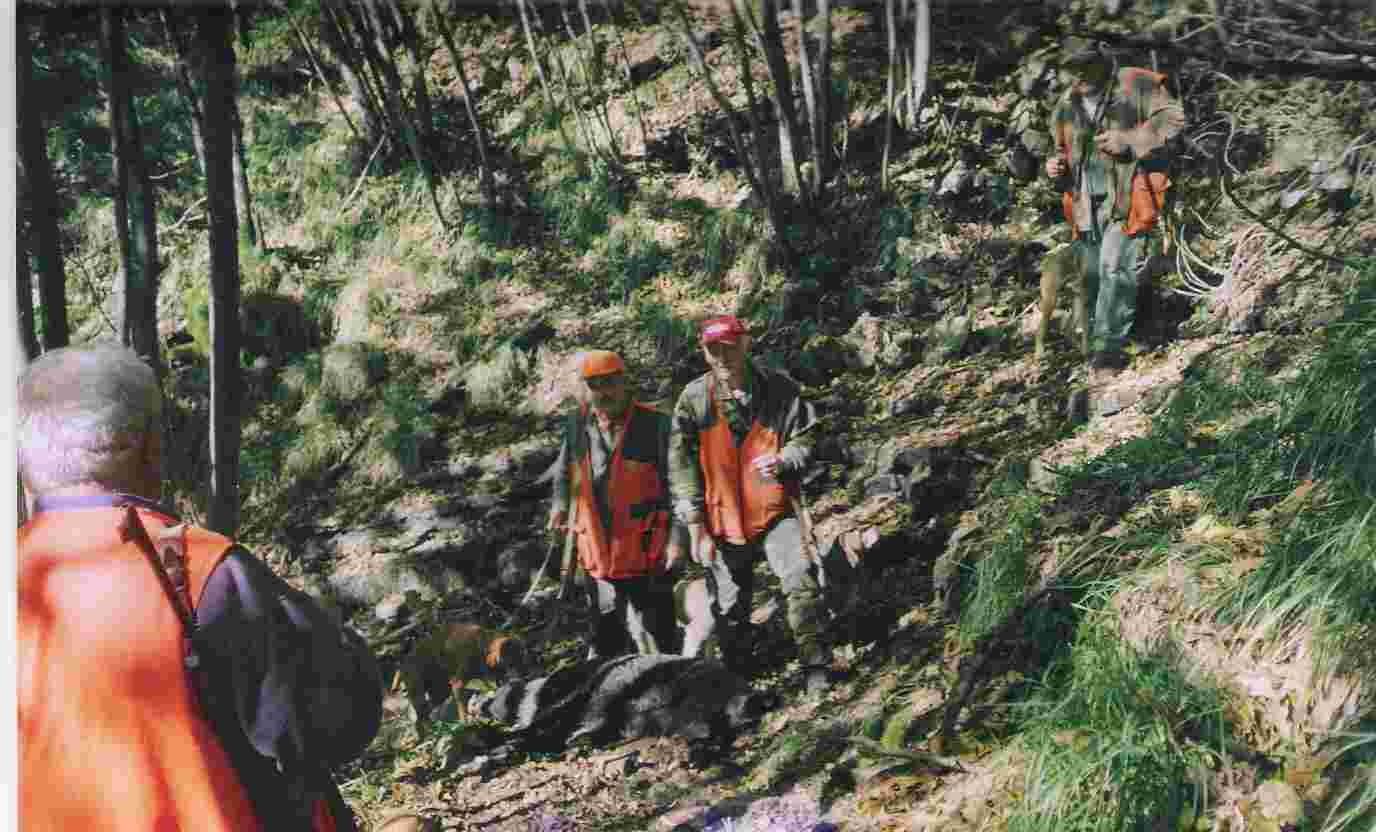  Image name: 07 Caccia.jpg 
 width: 1376 pixel 
 height: 832 pixel 
 Size: 62989 bytes 
 Click to enlarge 